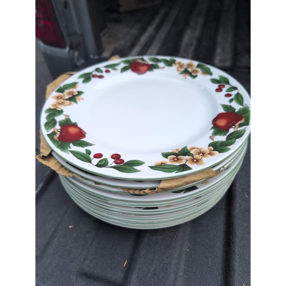 The Cades Cove Collection Dinner Plates 10 1/2" Citation Apple Blossom Set Of 10